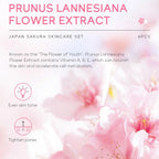 Sakura Skin Care Set